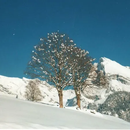 Gubel Holiday home Alt St. Johann