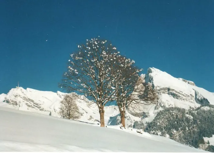 Gubel بيت للعطل Alt St. Johann